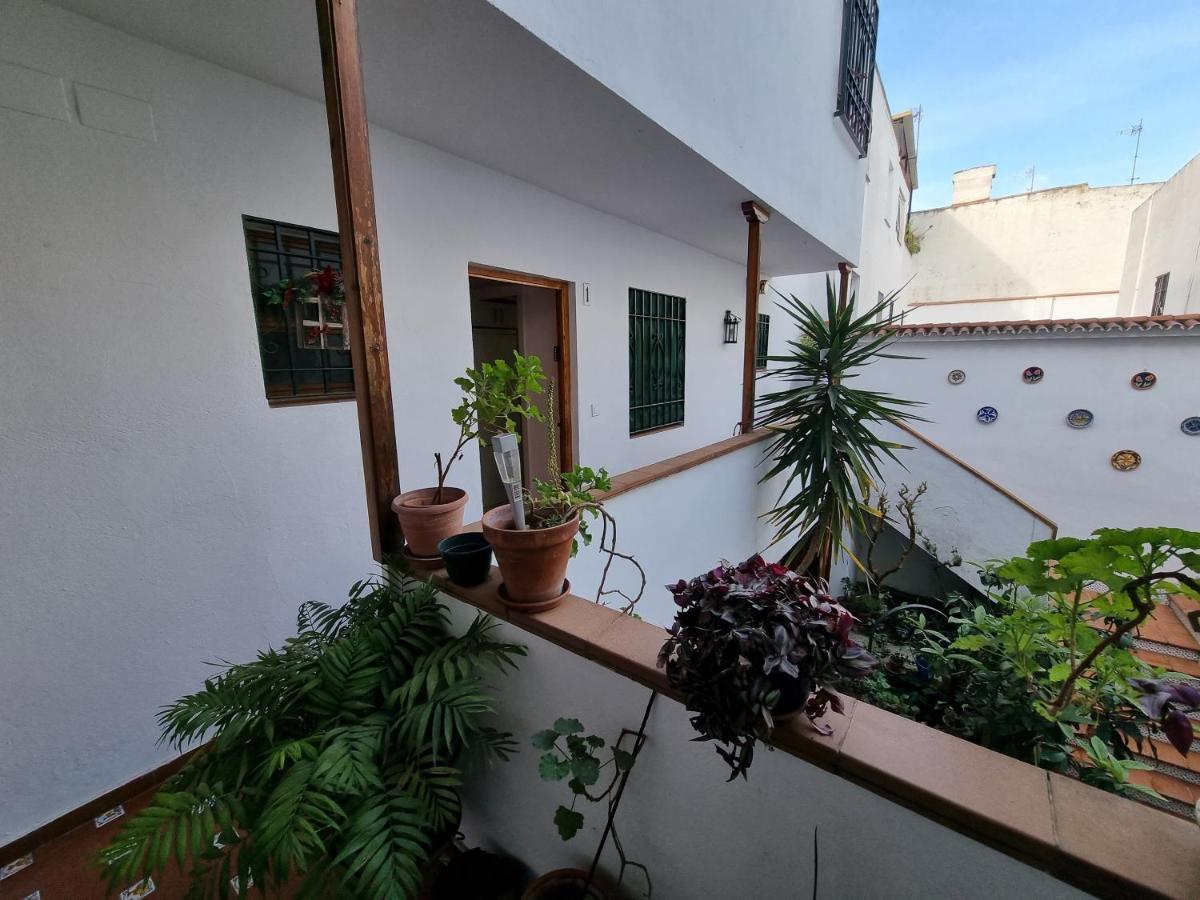 Apartamento Entre Patios San Basilio Διαμέρισμα Κόρδοβα Εξωτερικό φωτογραφία